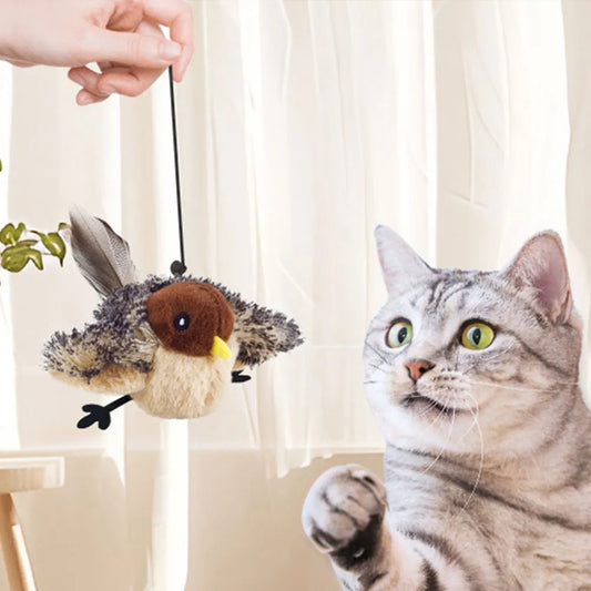 Flying Bird Cat Toy